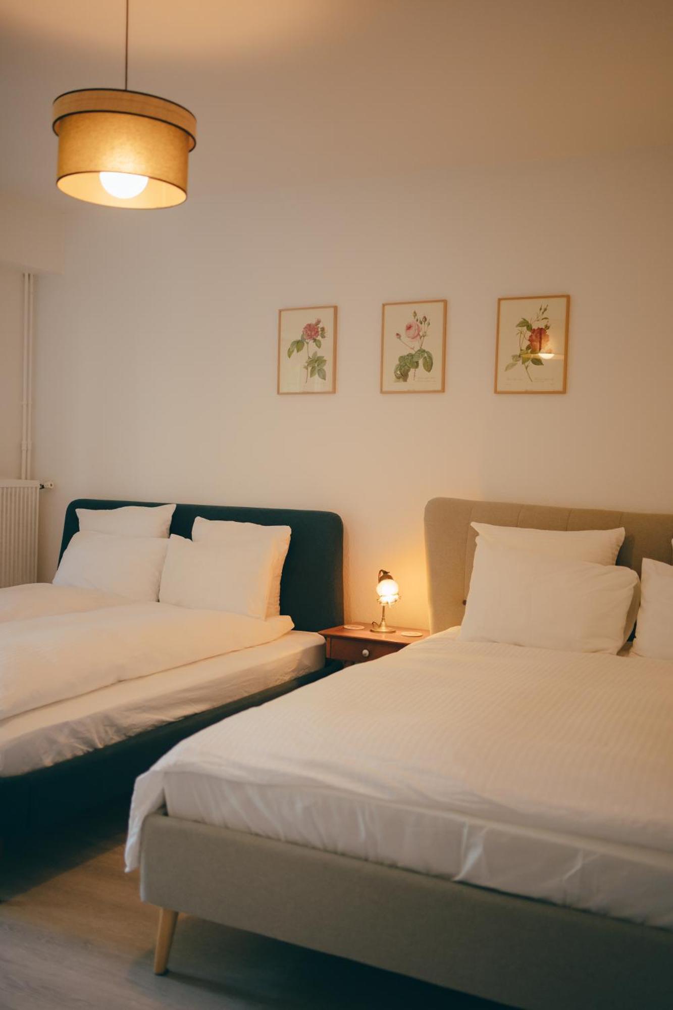 Cozy Garden Rooms 沙威利拉维 外观 照片